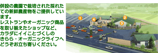 レストランや、オーガニック商品を取り揃えたショップなど、カラダにいいことづくしのきららオーガニック・ライフへ、ぜひお立ち寄りください