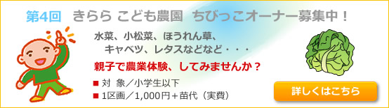 ��3�󡡤��ɤ����ࡡ���Ӥä������ʡ��罸��